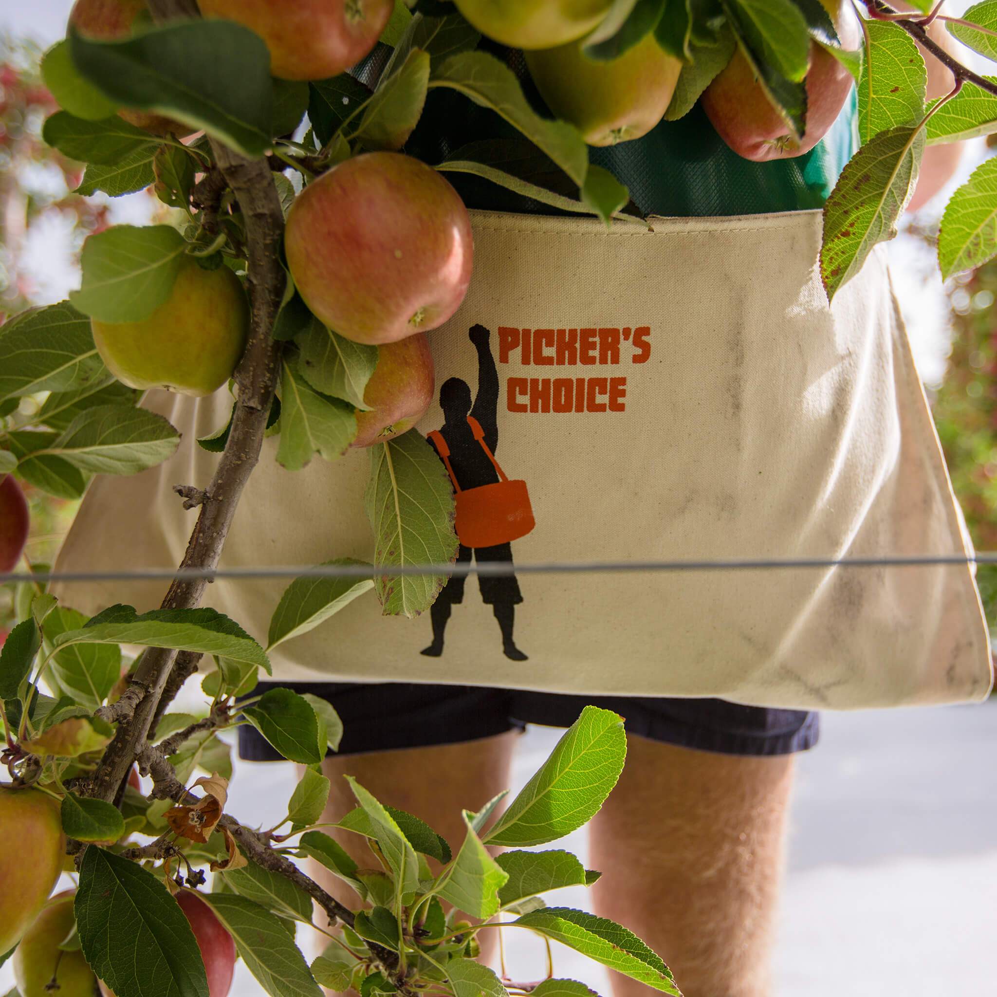 Picker's Choice 45L Premium Soft Shell Picking Bag with Support+ Har –  Harvestwear AU